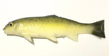 Load image into Gallery viewer, The Carp
