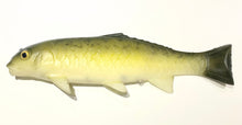 Load image into Gallery viewer, The Carp
