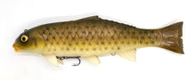 Load image into Gallery viewer, The Carp