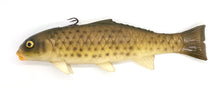 Load image into Gallery viewer, The Carp